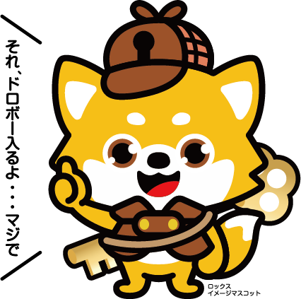 それ、ドロボー入るよ…マジで